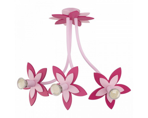 Потолочная люстра Nowodvorski Flowers 6894