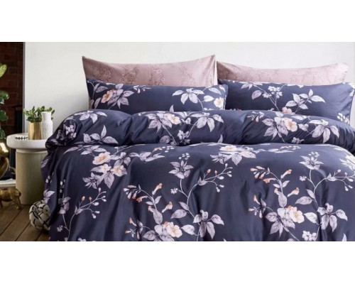 Постельное белье двуспальное Вальтери MP