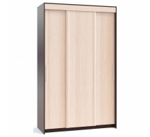 Шкаф-купе Контур ШР-156.2