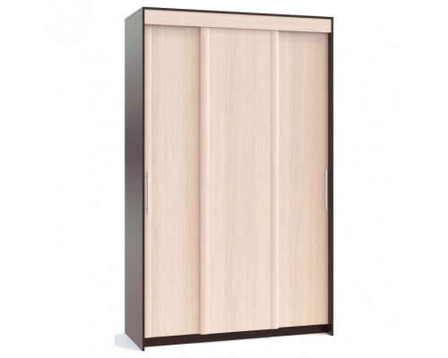 Шкаф-купе Контур ШР-156.2