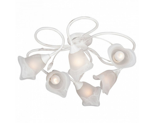 Потолочная люстра Vitaluce V3262 V3262-0/6PL