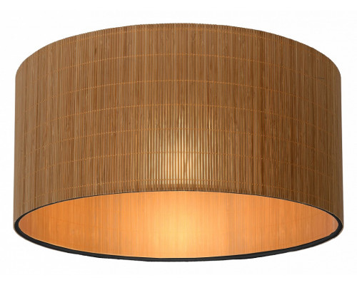 Накладной светильник Lucide Magius 03129/42/30