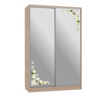 Шкаф-купе Рио 4-600 розы