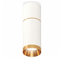 Накладной светильник Ambrella Techno Spot 248 XS6322062