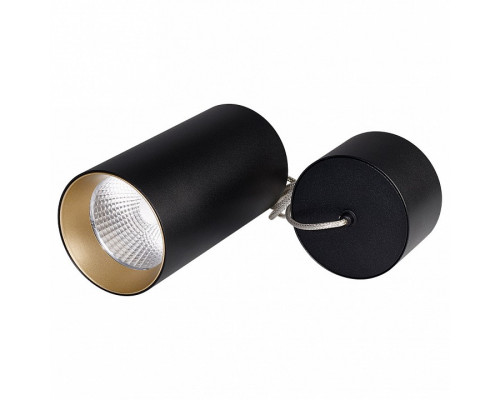 Подвесной светильник Arlight Sp-polo-r85 SP-POLO-R85-2-15W Day White 40deg (Black, Gold Ring)