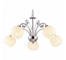 Подвесная люстра Arte Lamp Uva A9524LM-5CC