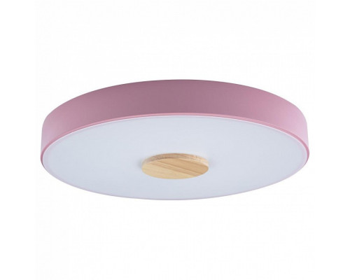 Накладной светильник Loft it Axel 2 10003/24 Pink