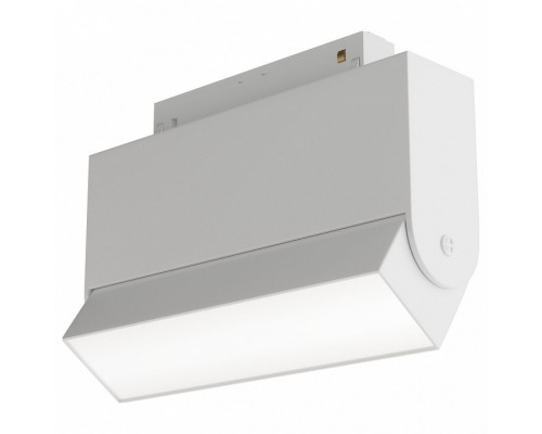 Светильник на штанге Maytoni Basis TR013-2-10W3K-W