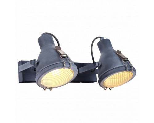 Спот Arte Lamp 9178 A9178AP-2GY