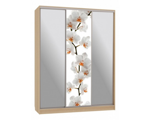 Шкаф-купе Бассо 9-600 83