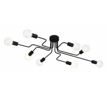 Потолочная люстра EVOLUCE Ano SL419.442.08