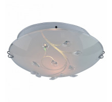 Накладной светильник Arte Lamp Jasmine A4040PL-2CC