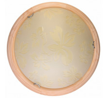 Накладной светильник TopLight Jane TL9640Y-00PN