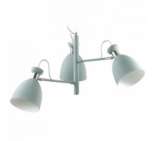 Подвесная люстра Lumion Kizzy 3735/3