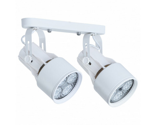 Светильник на штанге Arte Lamp 6252 A6252PL-2WH