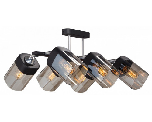 Люстра на штанге Vitaluce  V4895-1/6PL