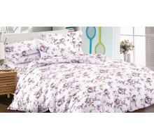 Постельное белье семейное Art Color 048-AC