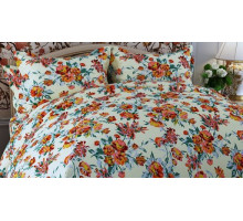 Постельное белье двуспальное Дизайн 231