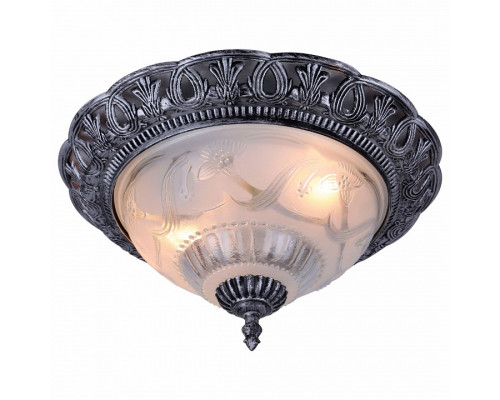 Накладной светильник Arte Lamp Piatti A8001PL-2SB