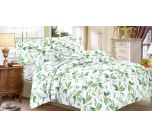 Постельное белье семейное Art Color 069-AC