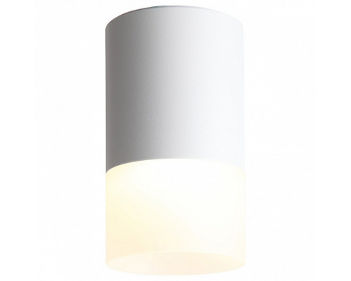 Накладной светильник ST-Luce Ottu