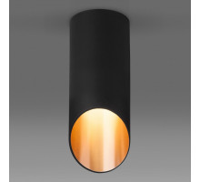 Накладной светильник Elektrostandard DLN114 a050120