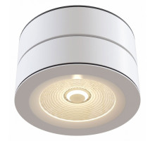 Спот Maytoni Treviso C023CL-L20W4K