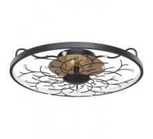 Накладной светильник Favourite Waltz 2520-6C