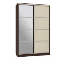 Шкаф-купе Рио 2-600 с зеркалом