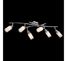 Спот Eurosvet Sherwood 20030/6 хром