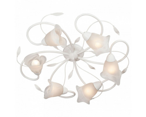 Потолочная люстра Vitaluce 3815 V3815-0/6PL