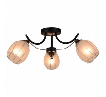 Потолочная люстра Escada Basic 3 1104/3P