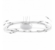 Подвесная люстра Lightstar Ovale 784346