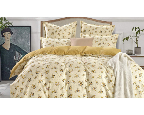 Постельное белье евростандарт Бони