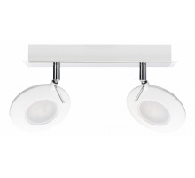 Спот Paulmann Orb 60254