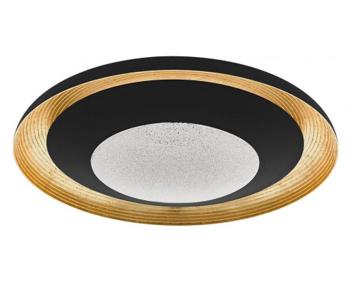 Накладной светильник Eglo Canicosa 2 98685