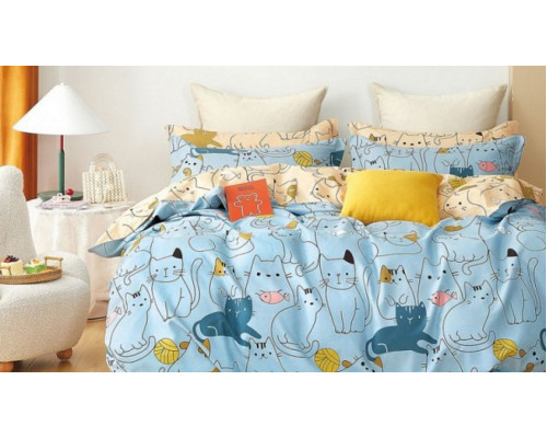 Постельное белье детское DS-138