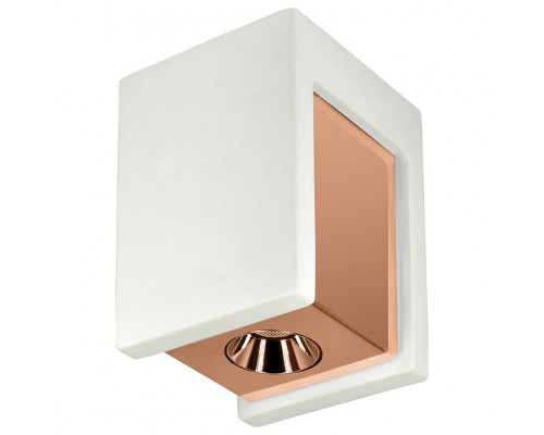 Накладной светильник Loft it Architect OL1073-WG