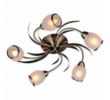 Потолочная люстра Omnilux Auxois OML-35827-05