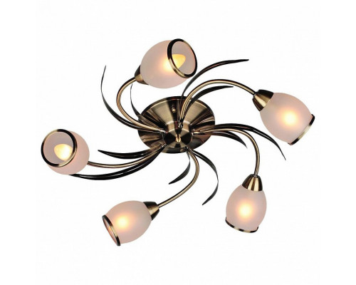 Потолочная люстра Omnilux Auxois OML-35827-05