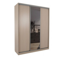 Шкаф-купе Бассо 1-600