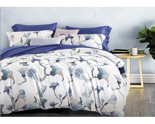 Постельное белье евростандарт Aquarella