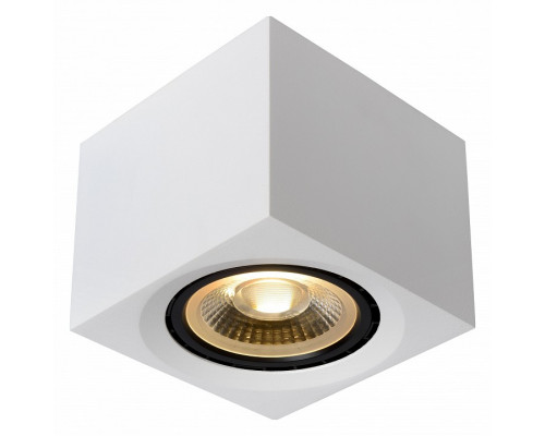 Накладной светильник Lucide Fedler 09922/12/31