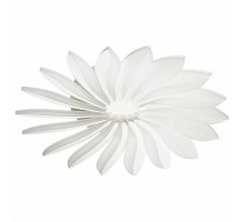 Накладной светильник Odeon Light Maya 4174/86CL