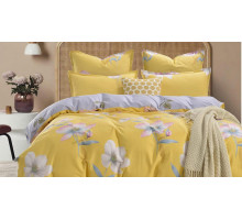 Постельное белье евростандарт Эми