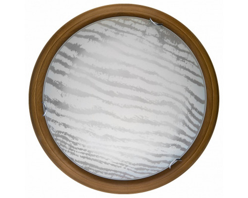 Накладной светильник TopLight Calista TL9490Y-00OA