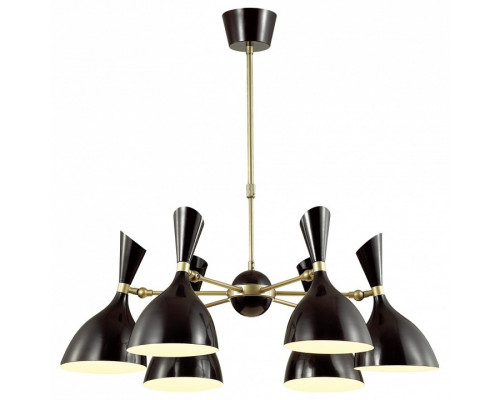 Подвесная люстра Odeon Light Rasto 4665/6