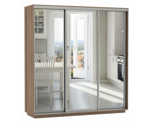 Шкаф-купе Экспресс Экспенс Трио 2100x600x2200