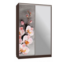 Шкаф-купе Рио 9-600 78