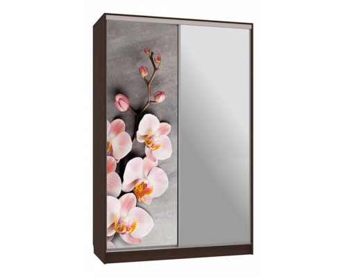 Шкаф-купе Рио 9-600 78